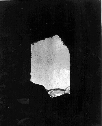 contenitore, frammento - bottega italiana (fine/inizio secc. XV/ XVI)