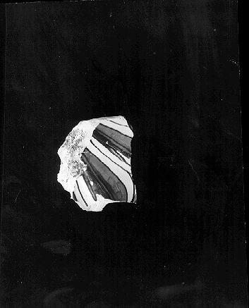 piatto, frammento - bottega italiana (sec. XVI)