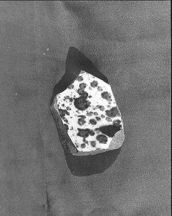 contenitore, frammento - bottega italiana (sec. XIX)