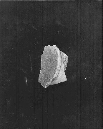 contenitore, frammento - bottega italiana (secc. XVI/ XVII)