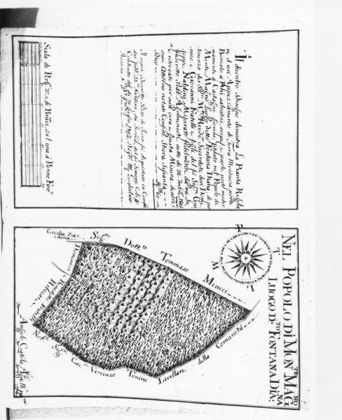 stampa di Catola Angelo (sec. XIX)