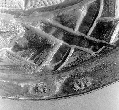 navicella portaincenso - ambito lunigianese (sec. XVIII)