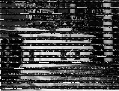 altare maggiore - bottega lucchese (fine/inizio secc. XVIII/ XIX)