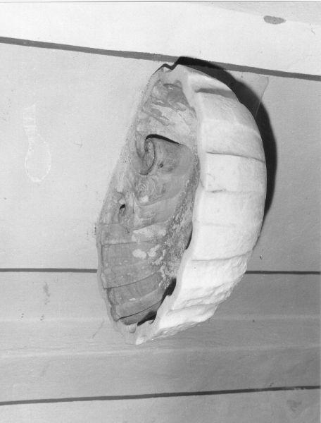 acquasantiera da parete - ambito lunigianese (ultimo quarto, metà sec. XVIII, sec. XX)