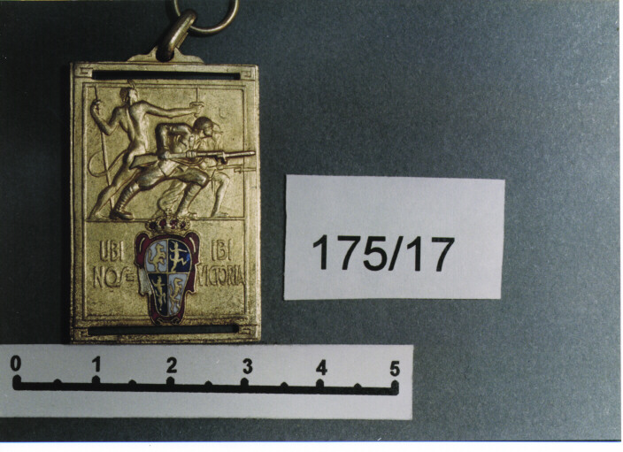 MEDAGLIA MILITARE, SERIE - AMBITO ITALIANO (SEC. XX)