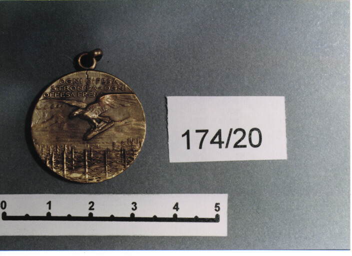 MEDAGLIA MILITARE, SERIE - AMBITO ITALIANO (SEC. XX)