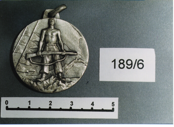 MEDAGLIA MILITARE, SERIE - AMBITO ITALIANO (SEC. XX)