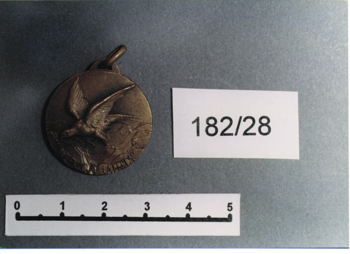 MEDAGLIA MILITARE, SERIE - AMBITO ITALIANO (SEC. XX)