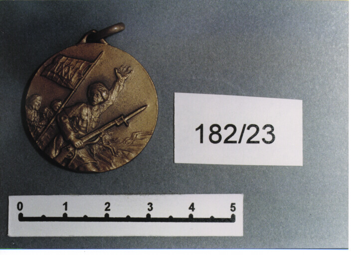 MEDAGLIA MILITARE, SERIE - AMBITO ITALIANO (Prima metà SEC. XX)