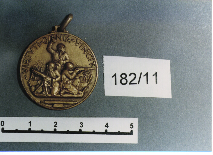 MEDAGLIA MILITARE, SERIE - AMBITO ITALIANO (SEC. XX)