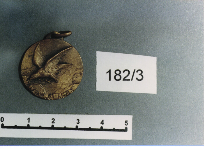 MEDAGLIA MILITARE, SERIE - AMBITO ITALIANO (SEC. XX)