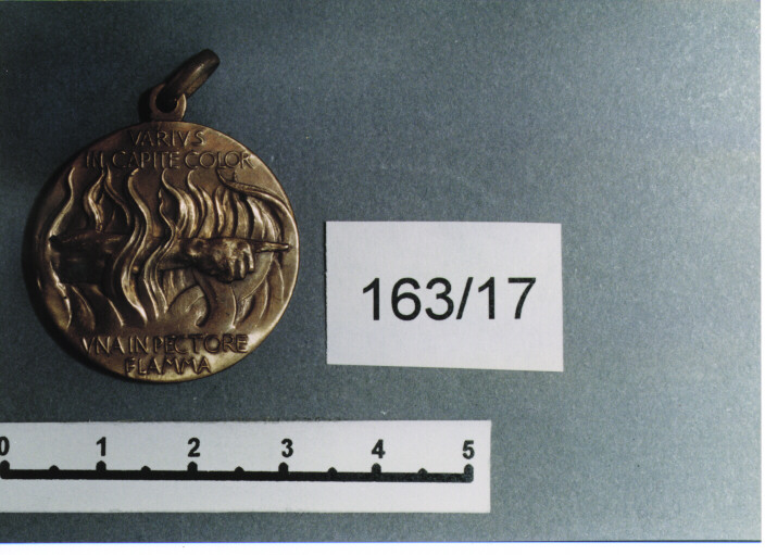 MEDAGLIA MILITARE, SERIE - AMBITO ITALIANO (Prima metà SEC. XX)