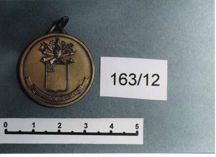 MEDAGLIA MILITARE, SERIE - AMBITO ITALIANO (Prima metà SEC. XX)