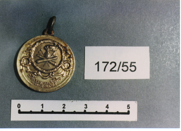 MEDAGLIA MILITARE, SERIE - AMBITO ITALIANO (SEC. XX)