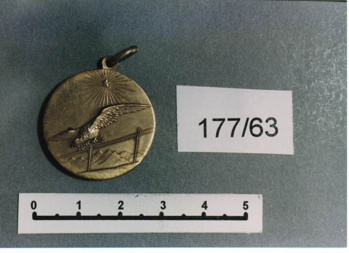 MEDAGLIA MILITARE, SERIE - AMBITO ITALIANO (SEC. XX)