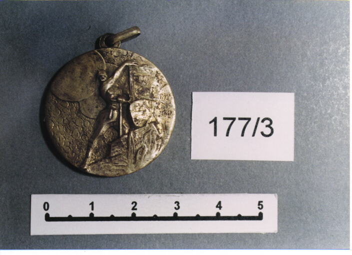 MEDAGLIA MILITARE, SERIE - AMBITO ITALIANO (SEC. XX)