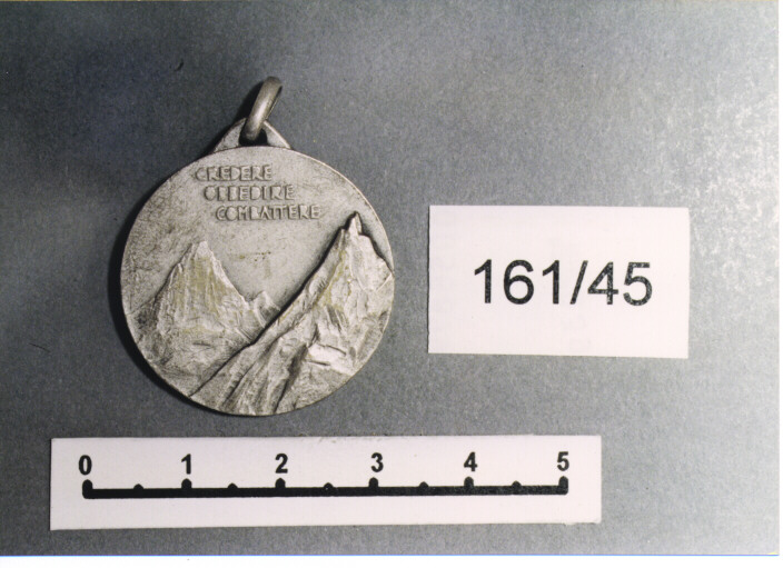 MEDAGLIA MILITARE, SERIE - AMBITO ITALIANO (Prima metà SEC. XX)