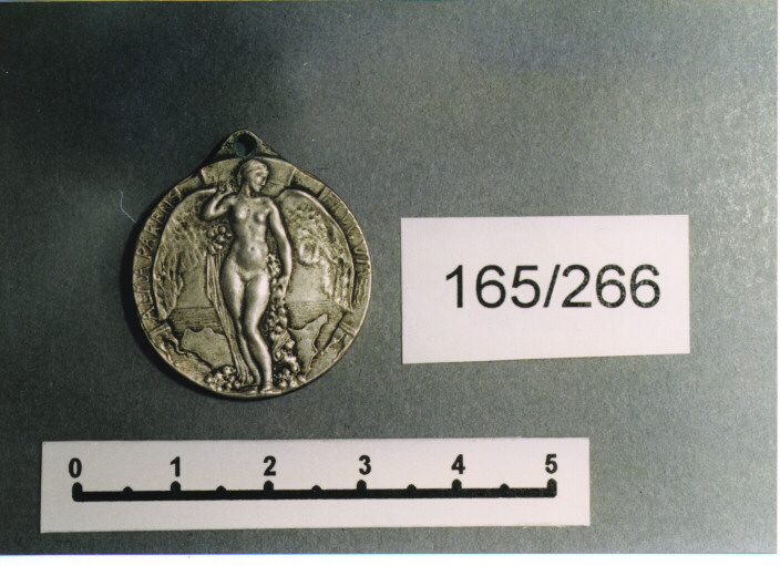 MEDAGLIA MILITARE, SERIE - AMBITO ITALIANO (SEC. XX)