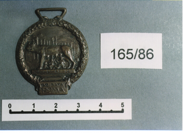 MEDAGLIA MILITARE, SERIE (SEC. XX)