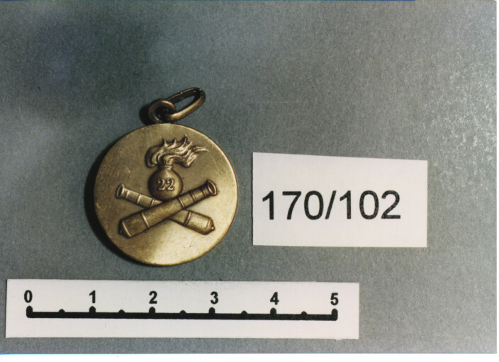 MEDAGLIA MILITARE, SERIE - AMBITO ITALIANO (SEC. XX)