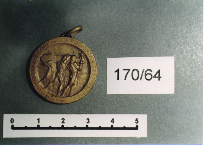 MEDAGLIA MILITARE, SERIE - AMBITO ITALIANO (SEC. XX)