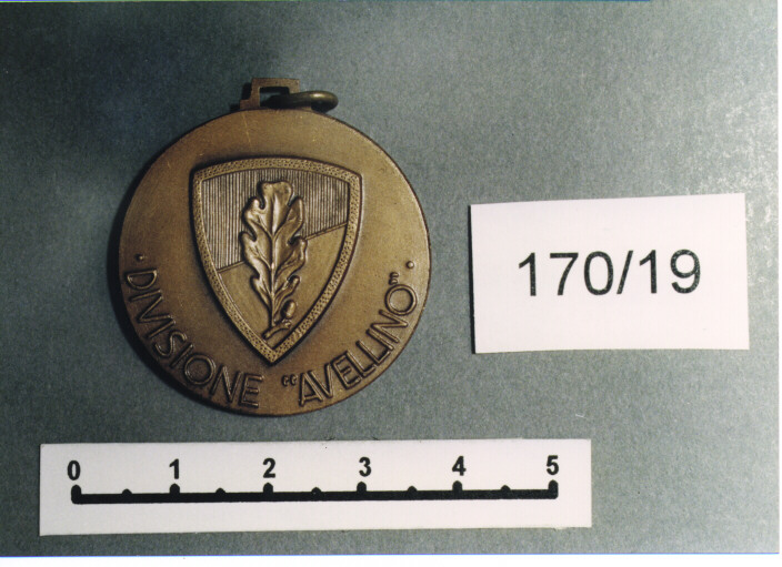 MEDAGLIA MILITARE, SERIE - AMBITO ITALIANO (Prima metà SEC. XX)