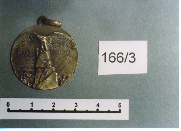 MEDAGLIA MILITARE, SERIE - AMBITO ITALIANO (PRIMO QUARTO SEC. XX)