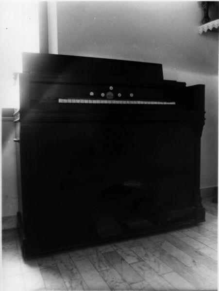 organo - bottega francese (inizio sec. XX)