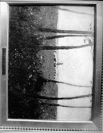 ULTIMI TRONCHI DI UNA PINETA MARITTIMA NELLE PRIME ORE CREPUSCOLARI, PAESAGGIO (dipinto) di Cecconi Alberto (sec. XX)