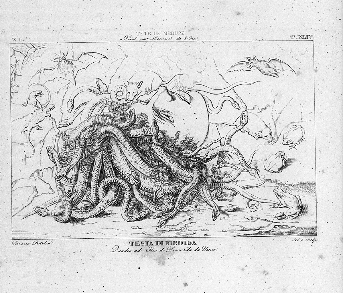 testa di Medusa (stampa, elemento d'insieme) di Pistolesi Silvestro - ambito fiammingo (sec. XIX)