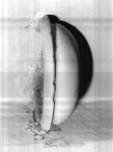 acquasantiera da parete - ambito lucchese (prima metà sec. XVIII)