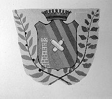 stemma (dipinto) - ambito elbano (inizio sec. XX)