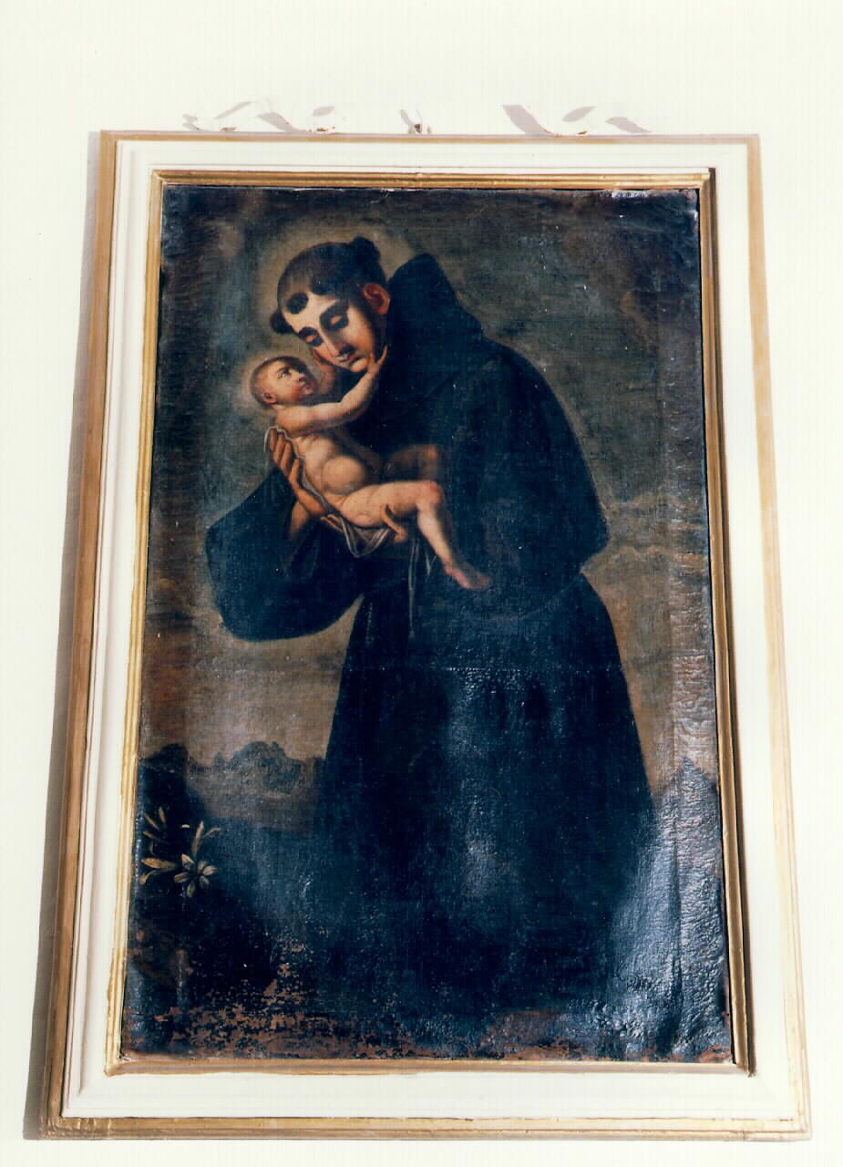 Sant'Antonio da Padova con Gesu' Bambino (dipinto) - ambito siciliano (Seconda metà sec. XVIII)