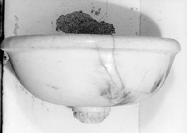 acquasantiera da parete - ambito italiano (sec. XIX)