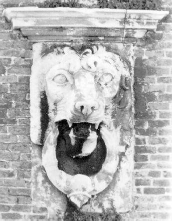 testa di leone (protome) - bottega italiana (sec. XVII)