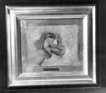 ROSA (dipinto) di Puccini Mario (sec. XX)
