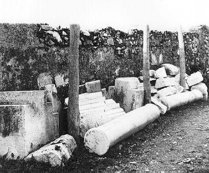 colonna, serie - ambito fiorentino (sec. XVI)