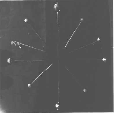 gioiello - bottega toscana (sec. XIX)