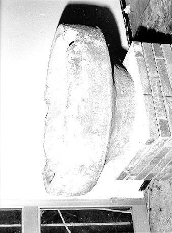 fonte battesimale - a vasca - ambito lunigianese (?) (sec. XV)