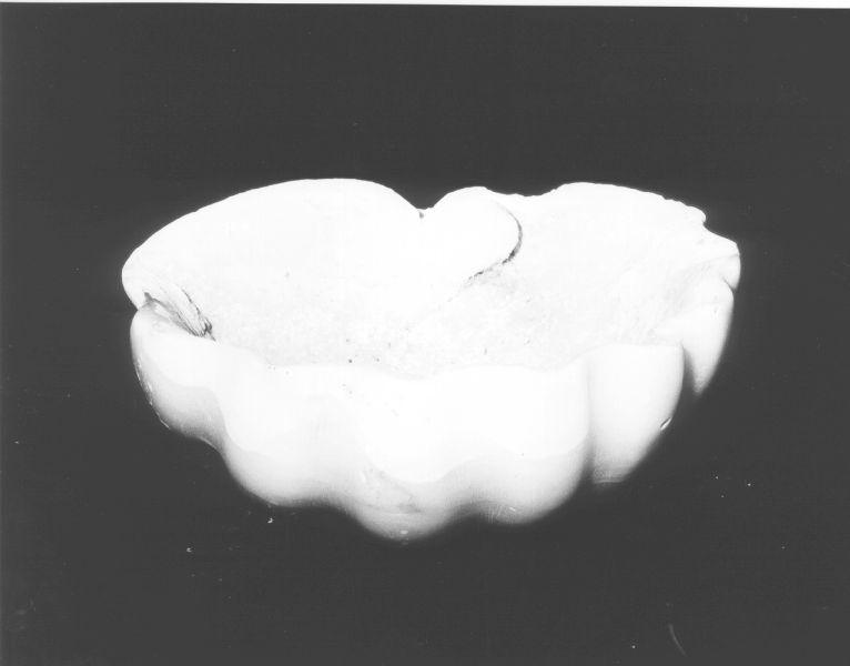 acquasantiera - a conchiglia, opera isolata - ambito italiano (seconda metà sec. XVIII)