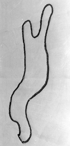 gioiello - bottega italiana (sec. XIX)