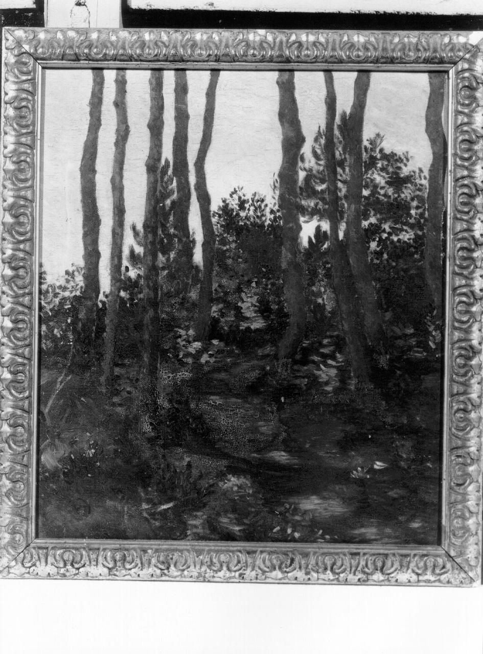 PINETA (dipinto) di Cristiani Giuseppina (primo quarto sec. XX)