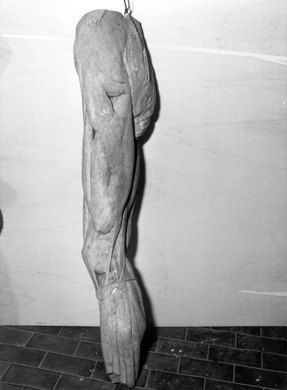 GAMBA MASCHILE SINISTRA (scultura) - ambito toscano (metà sec. XIX)