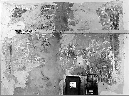 Santa (dipinto) - ambito italiano (sec. XVI)