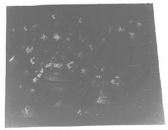 natura morta con fiori (dipinto) - ambito italiano (sec. XVIII)