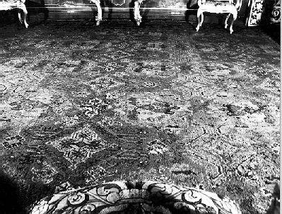 tappeto - manifattura francese (?) (sec. XVIII)