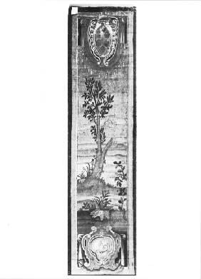 Arme medicea e alberello nel centro (arazzo) - ambito fiorentino (sec. XVI)