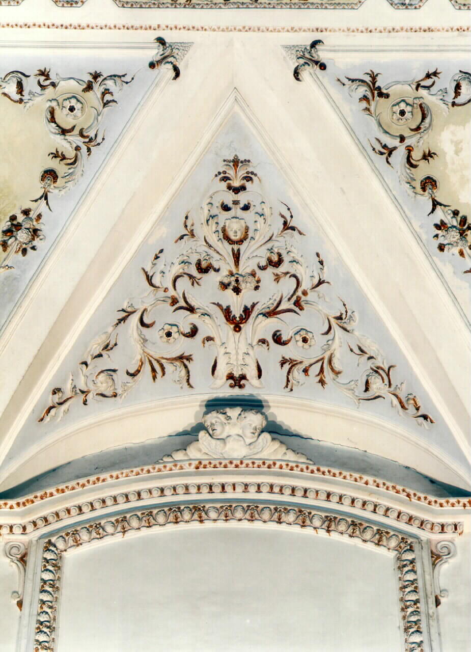 motivi decorativi vegetali (decorazione a rilievo, serie) - ambito siciliano (ultimo quarto sec. XVIII)