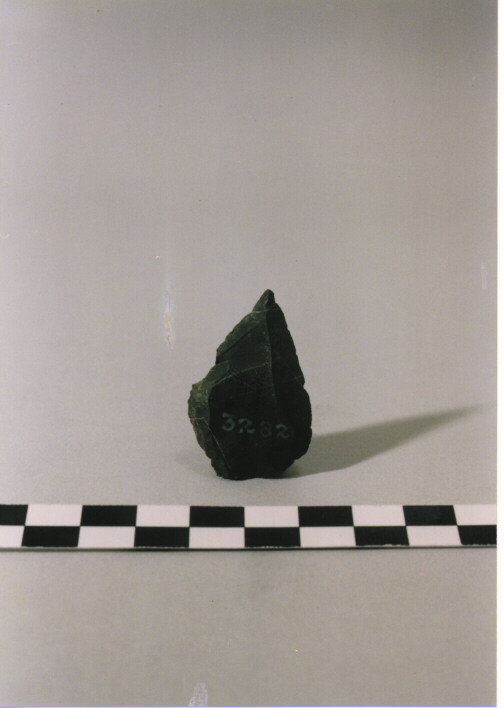 PUNTA PREDETERMINATA