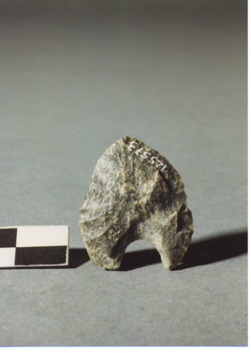 CUSPIDE DI FRECCIA A BASE CONCAVA